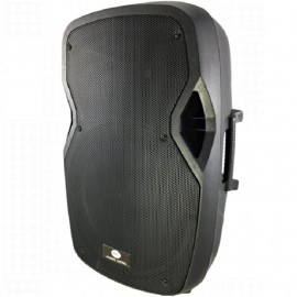 Acoustic Control AC 12 AMP USB Bluetooth Altavoz 200w